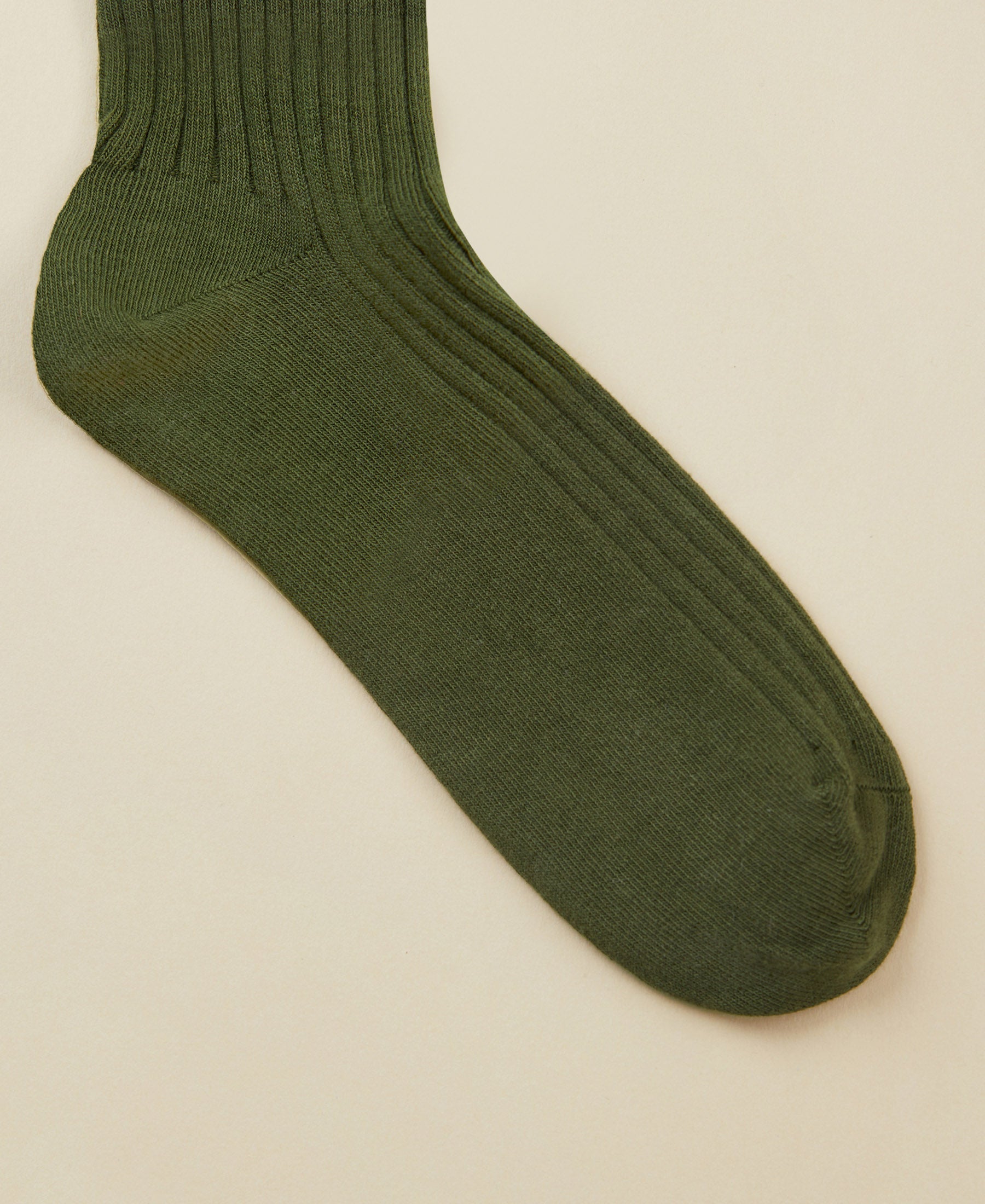 Women's Organic Cotton Socks Journal - Juniper
